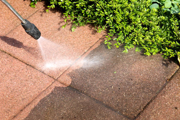 Best House Pressure Washing  in Monroe, IA
